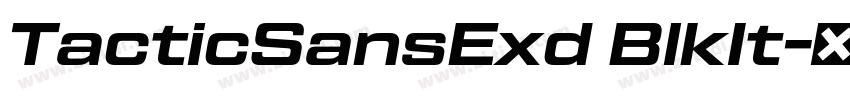 TacticSansExd BlkIt字体转换